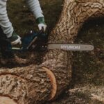 Gartenbäume schneiden